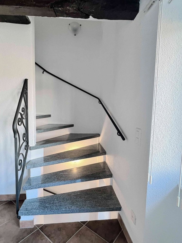 5 rooms House for rent in Viganello - image 1/8