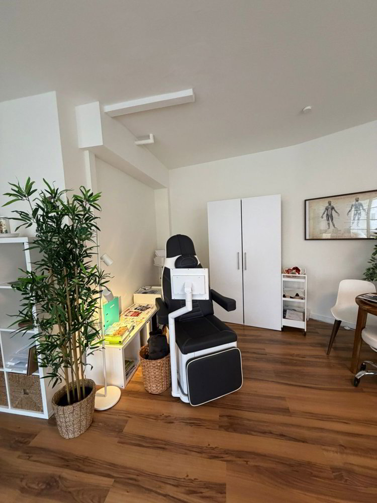Ufficio & Commercio di null locali in affitto a Schaffhouse - immagine 1/8
