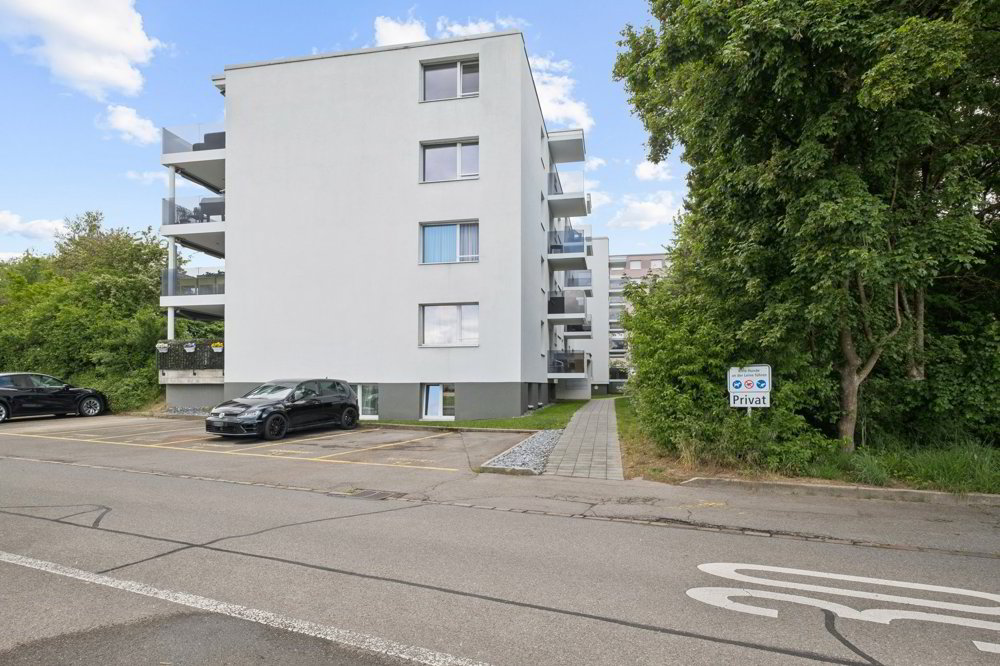 Appartamento di 4 locali in affitto a Niedergösgen - immagine 1/11