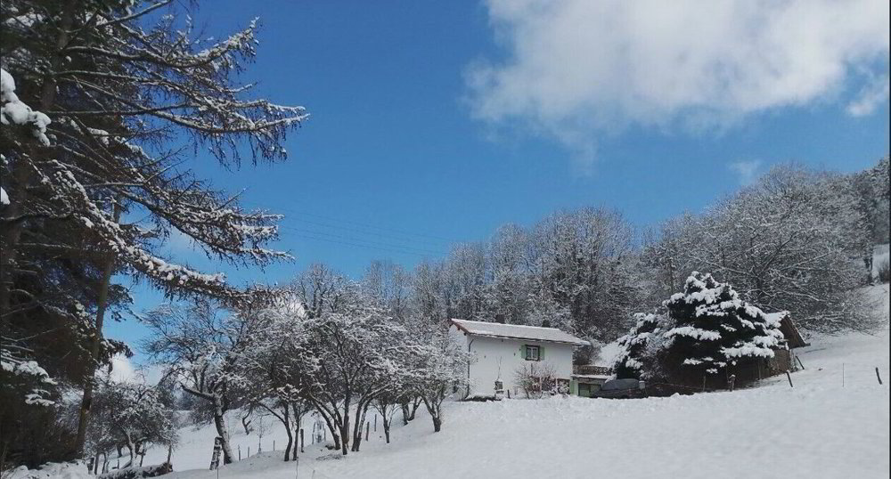 Maison 5.5 pièces à acheter à Montfavergier - image 1/18