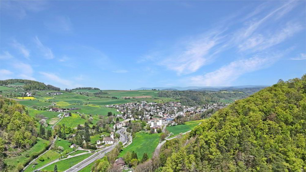 8.5 rooms House to buy in Oberdorf BL - image 1/16