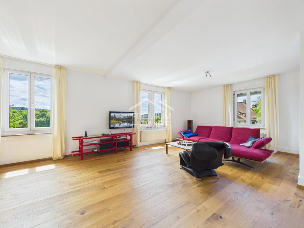 Casa di 9 locali in vendita a Schaffhausen - immagine 1/13