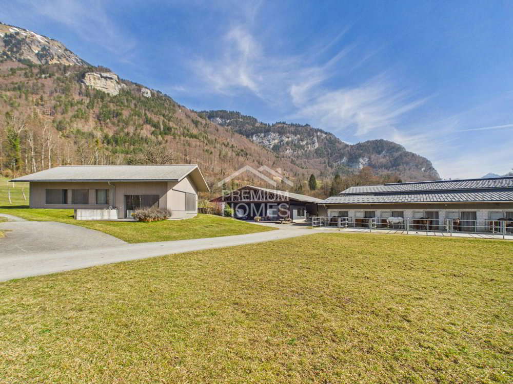 null rooms House to buy in Brienzwiler - image 1/8