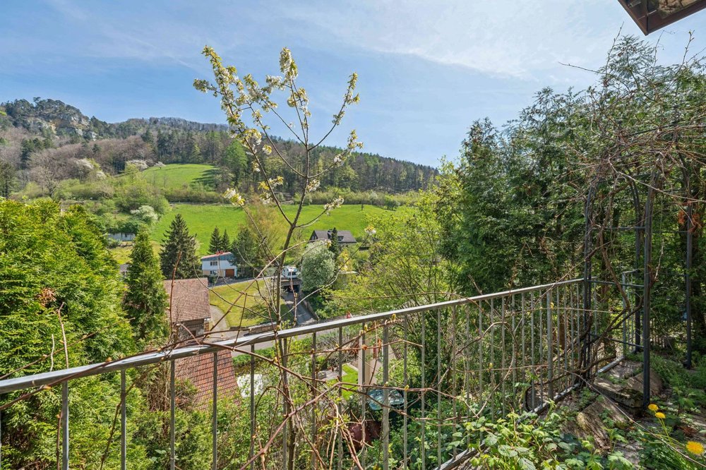 6.5 rooms House to buy in Waldenburg - image 1/13
