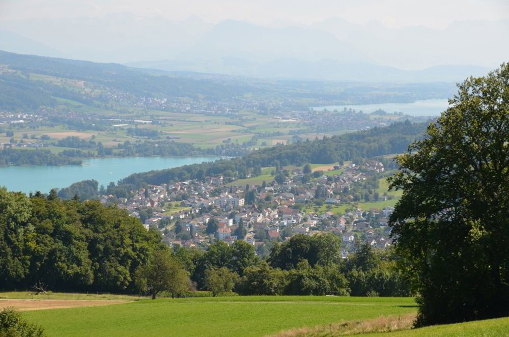 Maison 6 pièces à acheter à Beinwil am See - image 1/15