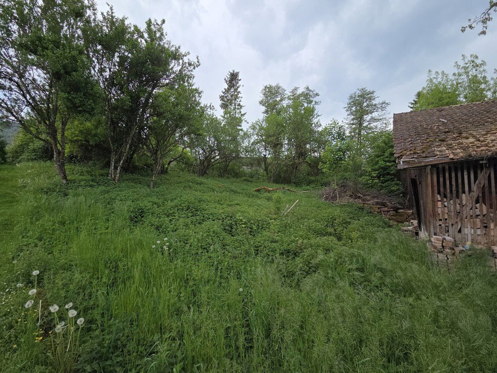 Maison null pièces à acheter à Glovelier - image 1/11