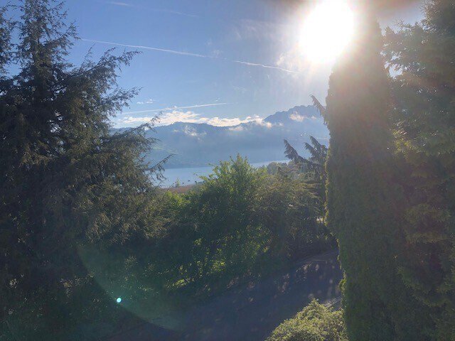 Appartamento di 2 locali in affitto a Gwatt (Thun) - immagine 1/13