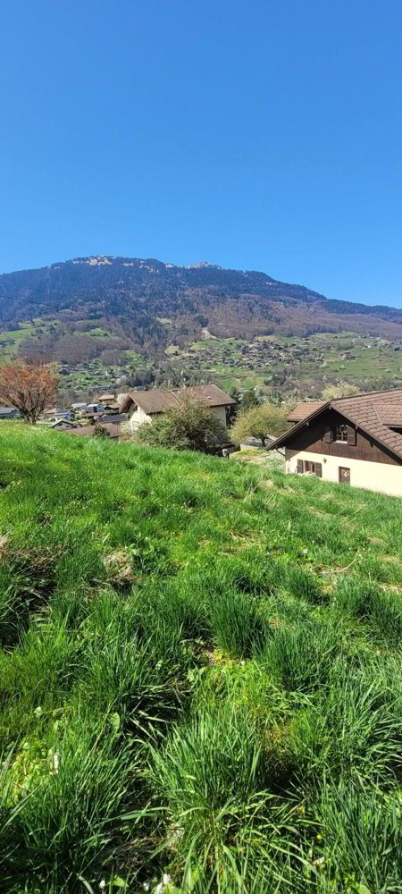 Terreno di null locali in vendita a Choëx - immagine 1/5