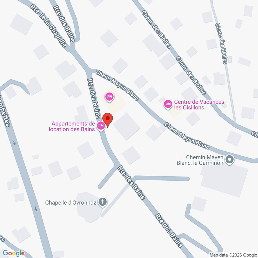 Appartamento di 3.5 locali in affitto a Ovronnaz - immagine 1/10