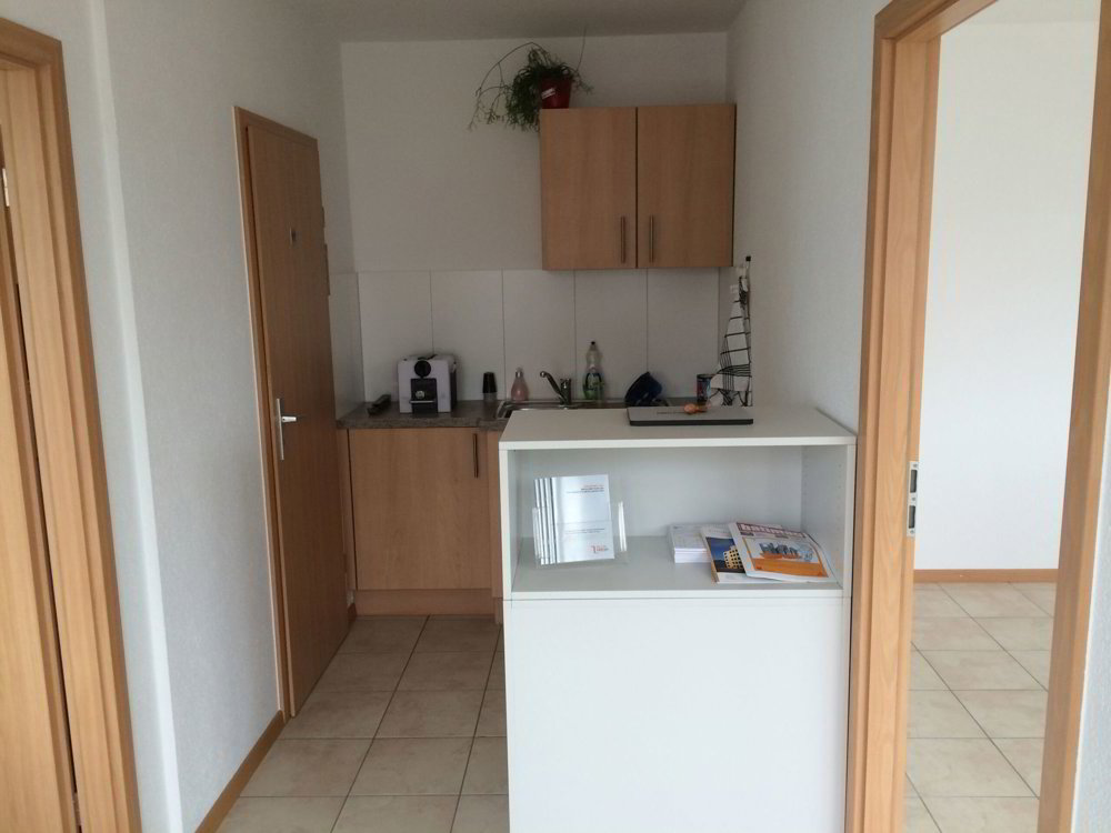 Ufficio & Commercio di 2.5 locali in affitto a Estavayer-le-Lac - immagine 1/6