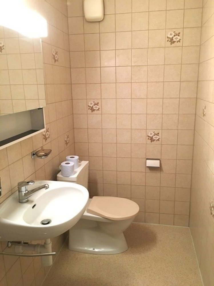Appartement 3.5 pièces à louer à Brugg AG - image 1/8