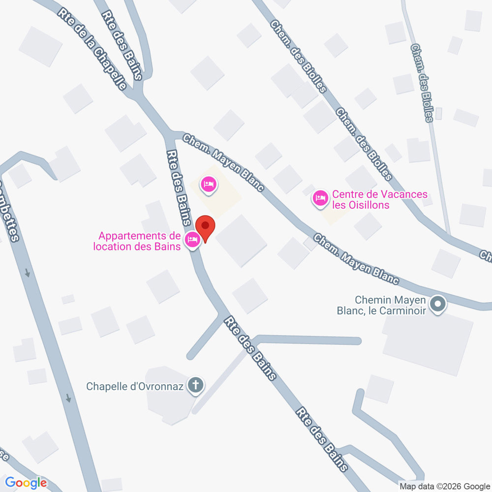 Appartamento di 3 locali in affitto a Ovronnaz - immagine 1/10