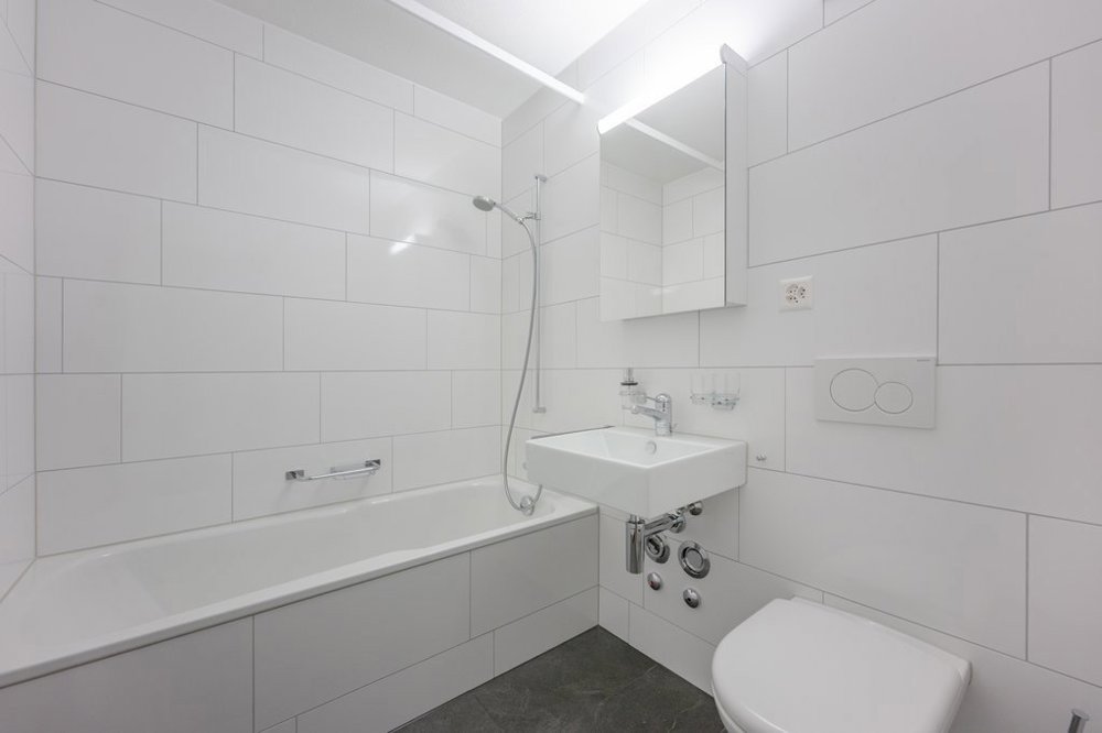 1 rooms Apartment for rent in Fällanden - image 1/4