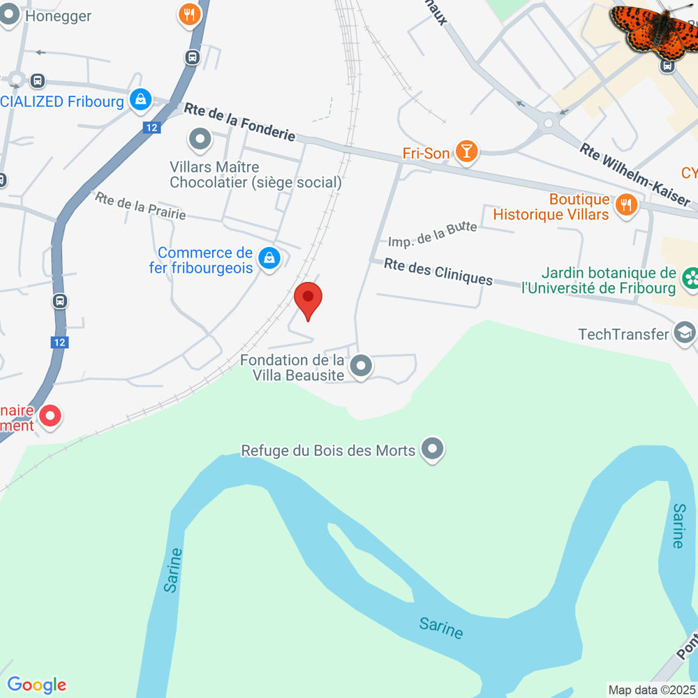 Ufficio & Commercio di null locali in affitto a Freiburg - immagine 1/6