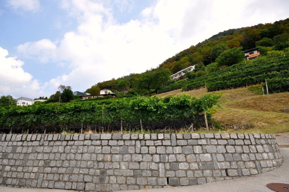 Terreno di null locali in vendita a Morbio Superiore - immagine 1/10