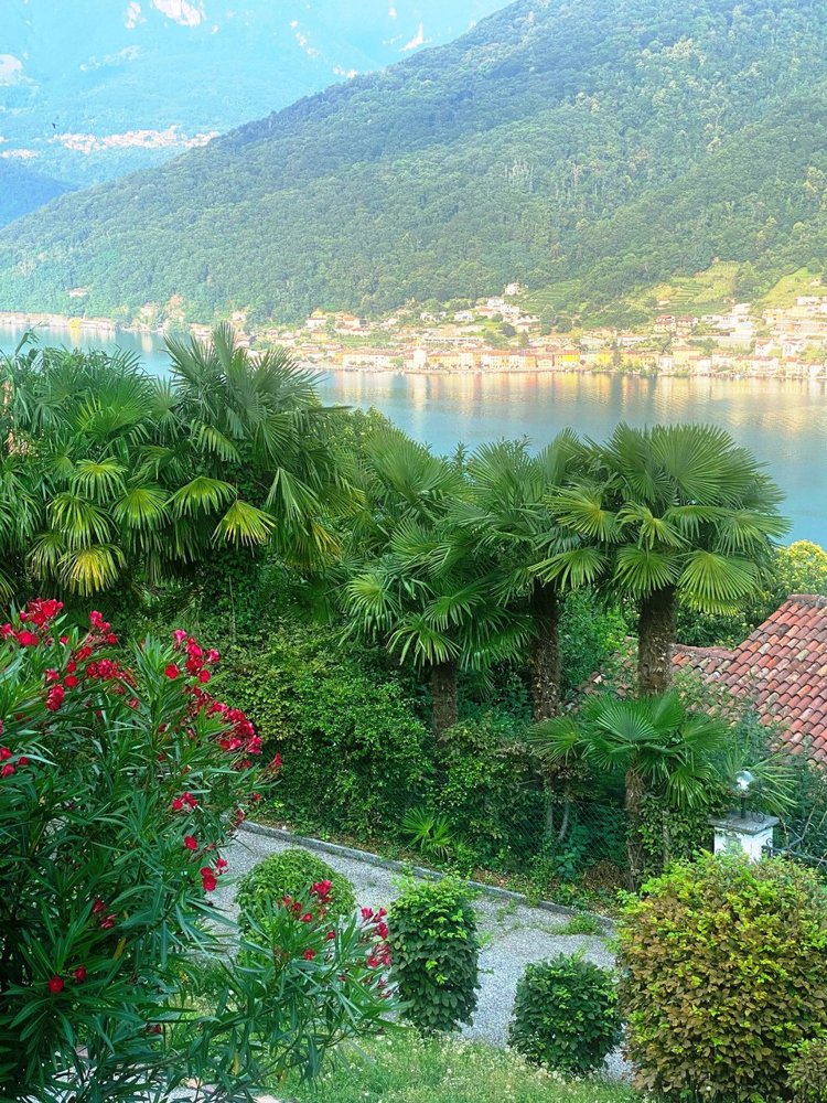 6 rooms House to buy in Morcote - image 1/8
