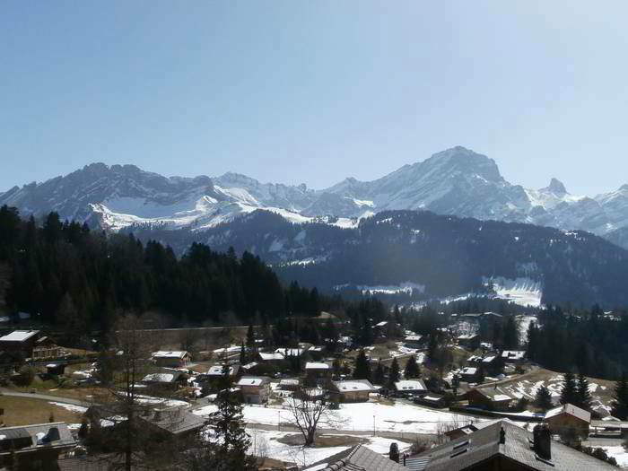 null Zimmer Haus zum verkaufen in Villars-sur-Ollon - Bild 1/12