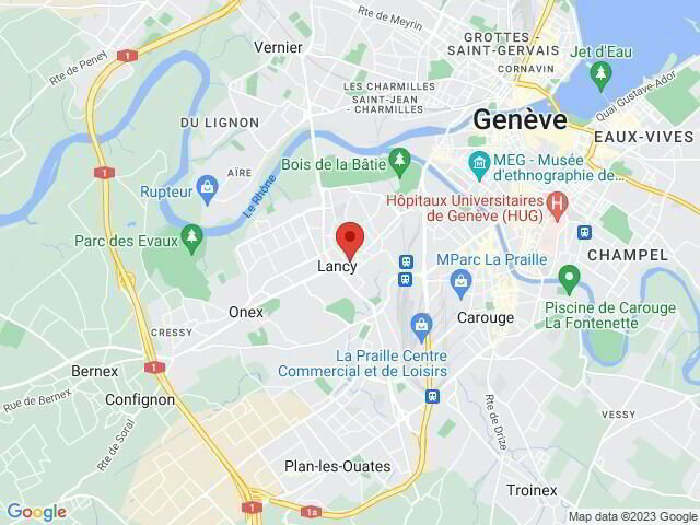 Parcheggio, garage di null locali in affitto a Petit-Lancy - immagine 1/2