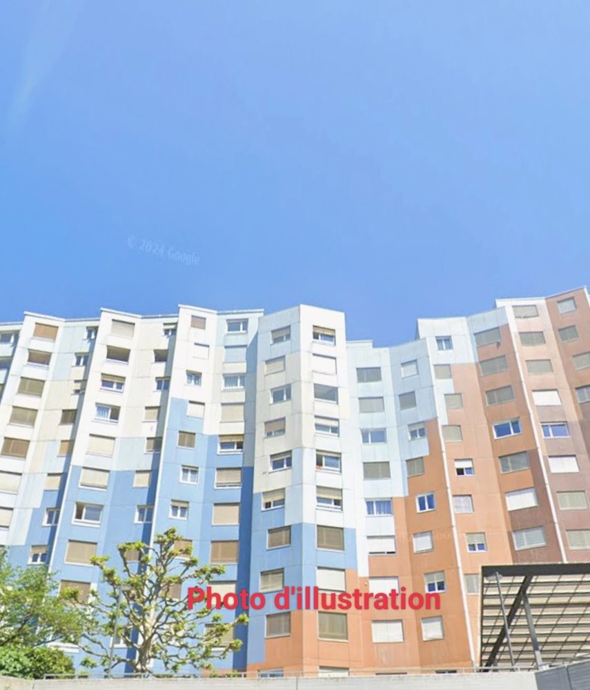 Appartamento di 2 locali in affitto a Vernier - immagine 1/1