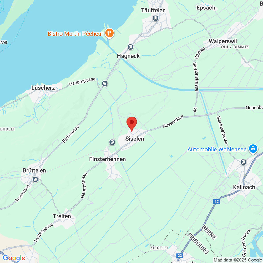 Appartamento di 2 locali in affitto a Siselen BE - immagine 1/10