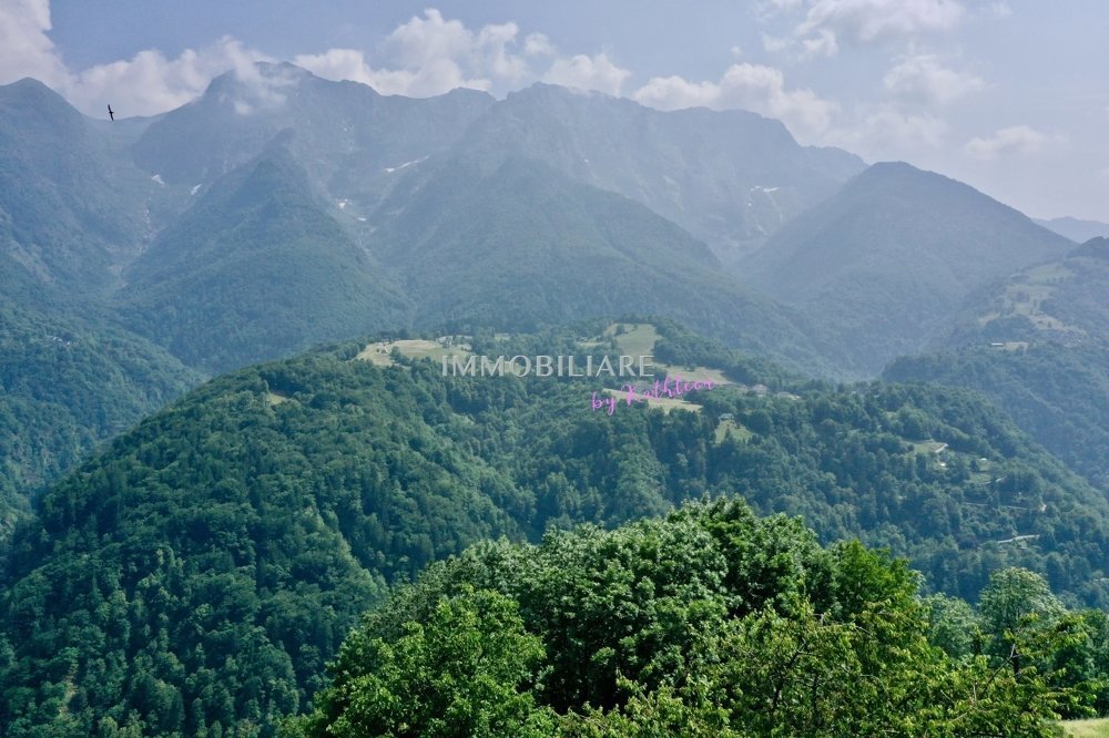 Casa di 7 locali in vendita a Verdasio - immagine 1/13