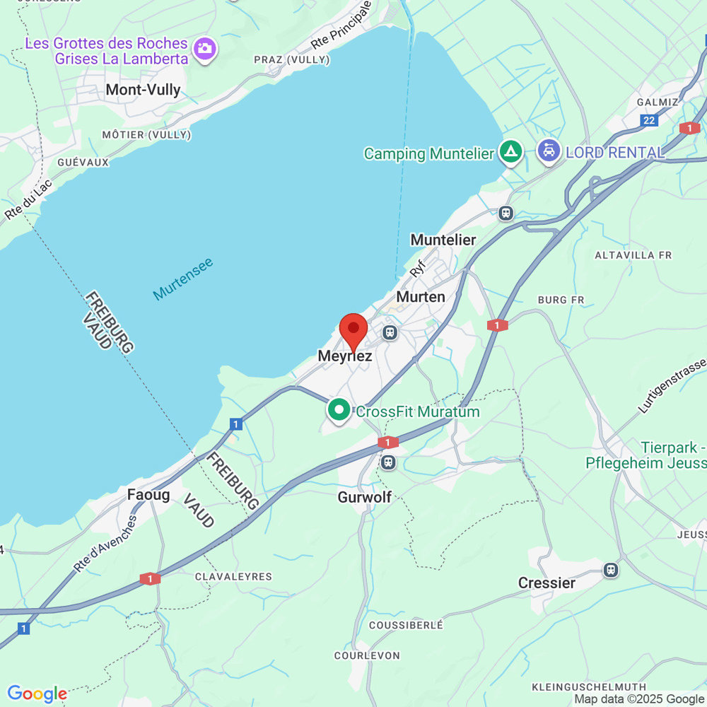 Appartamento di 3 locali in affitto a Meyriez - immagine 1/11