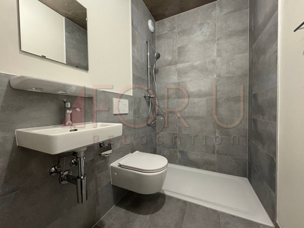 5 Zimmer Wohnung zu vermieten in Carouge GE - Bild 1/12