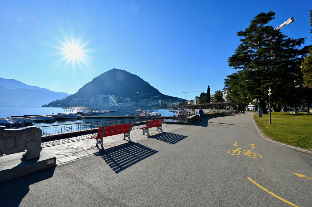 Bureau & Commerce null pièces à acheter à Lugano - image 1/11