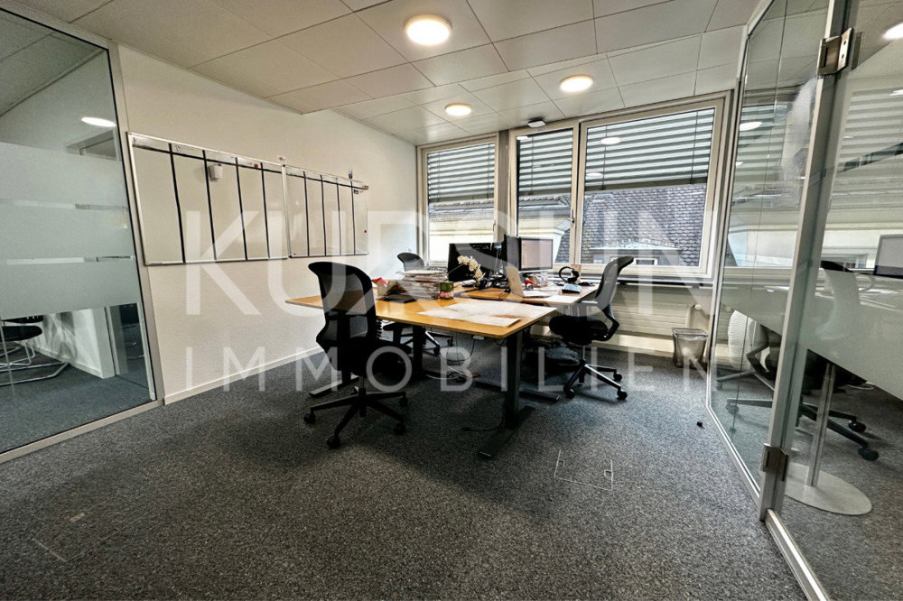 null rooms Office & Commercial for rent in Bâle - image 1/13