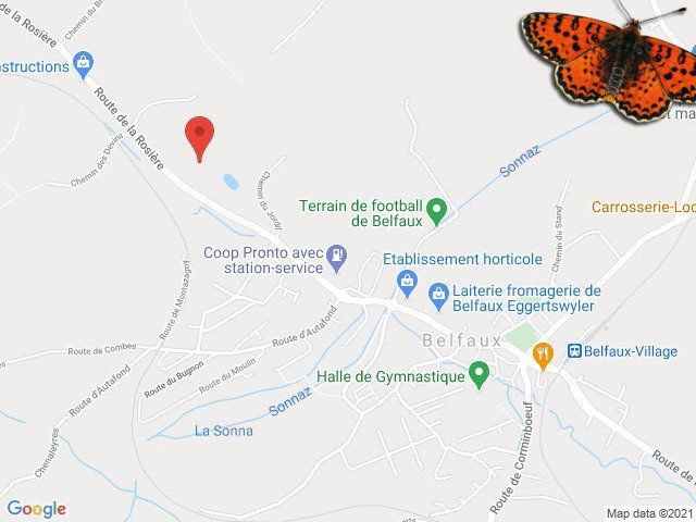 Appartamento di 1 locali in affitto a Belfaux - immagine 1/12