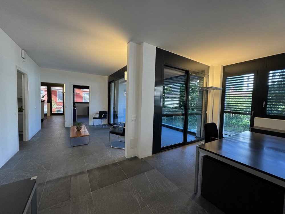 Ufficio & Commercio di 3 locali in vendita a Lugano - immagine 1/13
