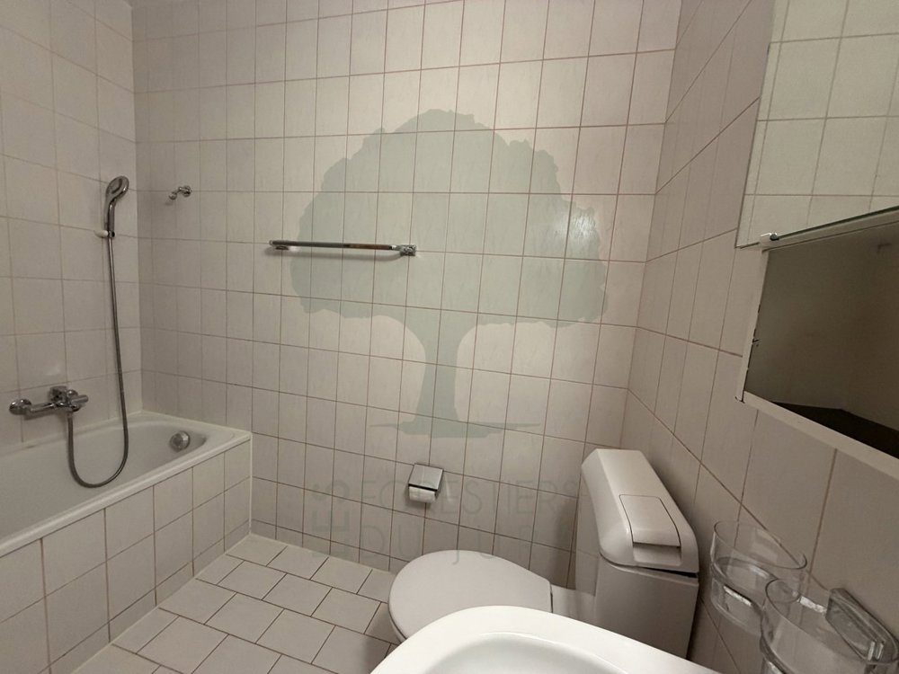 Appartement 4 pièces à louer à Pruntrut - image 1/10