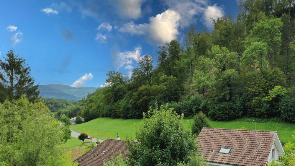 4 Zimmer Haus zum verkaufen in Dittingen - Bild 1/7