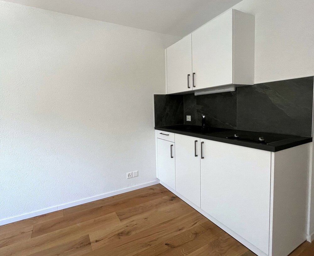 Appartamento di 1 locali in affitto a Fribourg - immagine 1/3