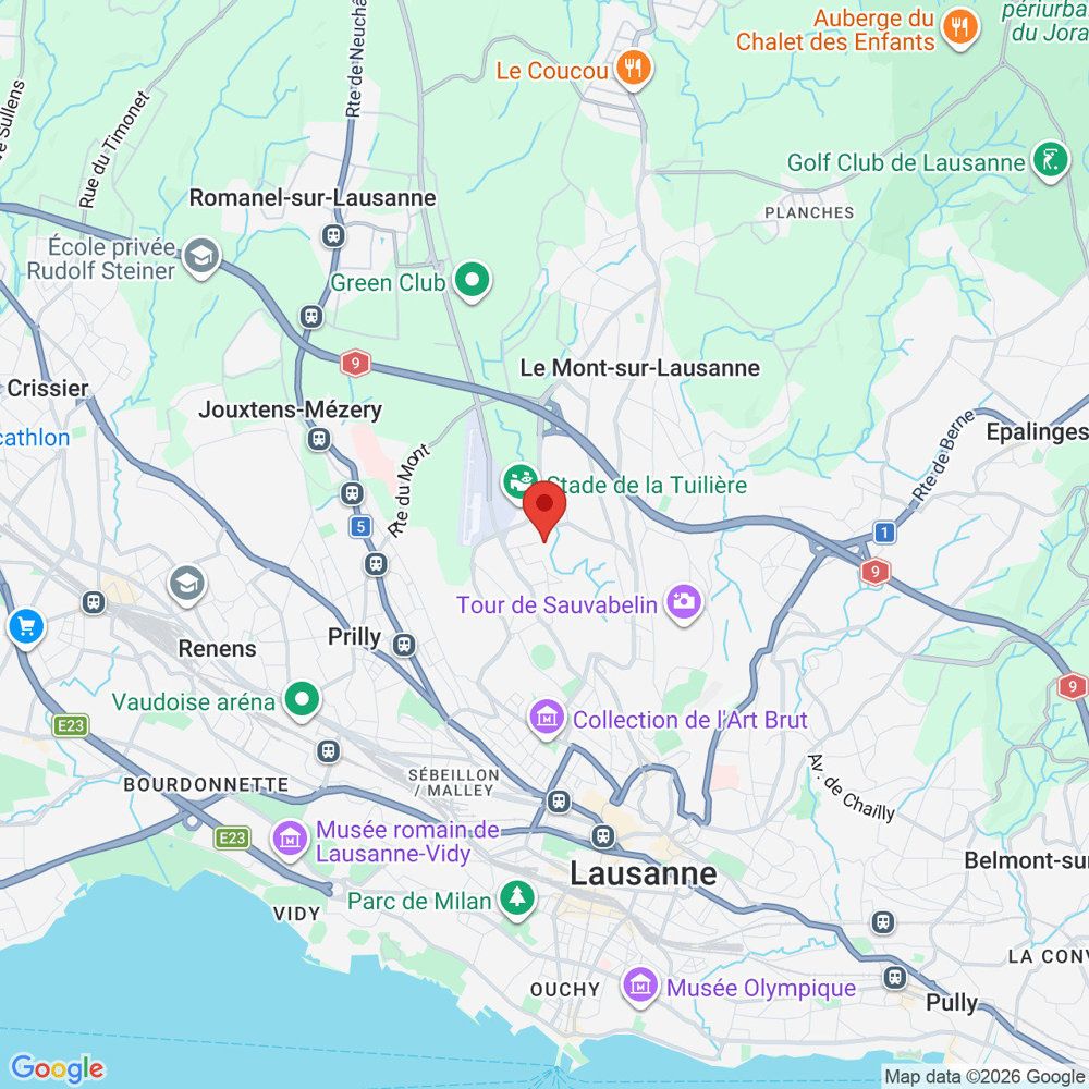 Appartamento di 3 locali in affitto a Losanna - immagine 1/3