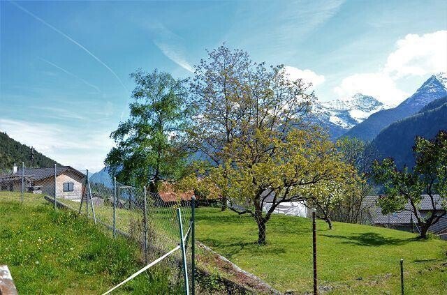 Terreno di null locali in vendita a Calonico - immagine 1/13