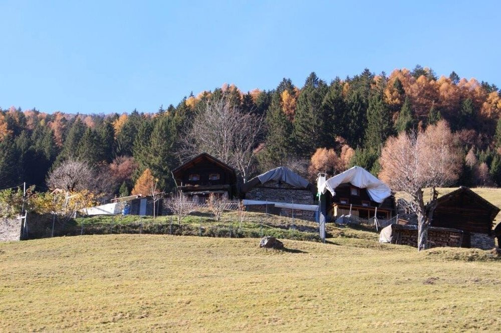 2 Zimmer Haus zum verkaufen in Buseno - Bild 1/13