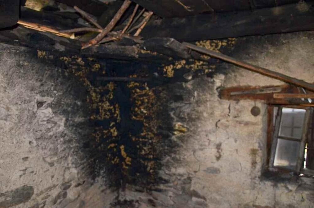 Casa di 2 locali in vendita a Leontica - immagine 1/13