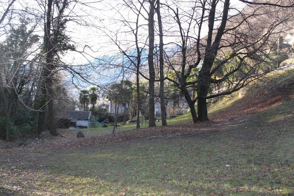 Terreno di null locali in vendita a Riazzino - immagine 1/9