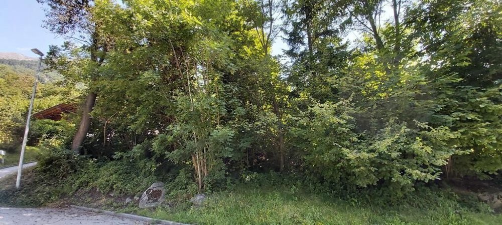 Terreno di null locali in vendita a Faido - immagine 1/6