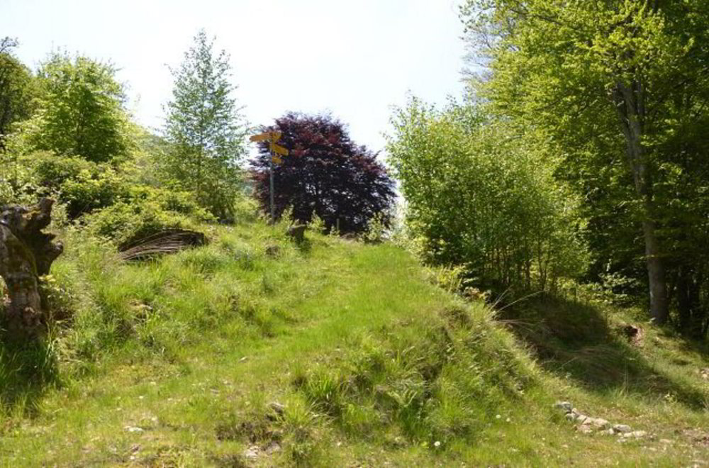 Casa di 2 locali in vendita a Camignolo - immagine 1/13
