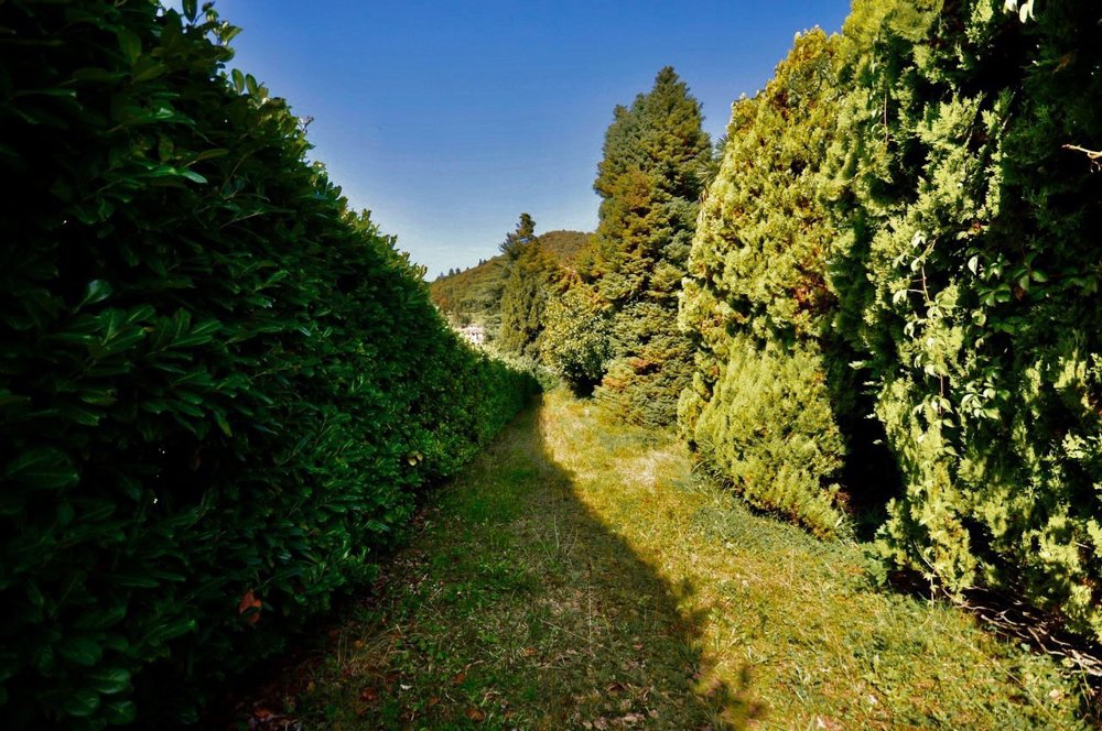 Casa di 10 locali in vendita a Novaggio - immagine 1/13