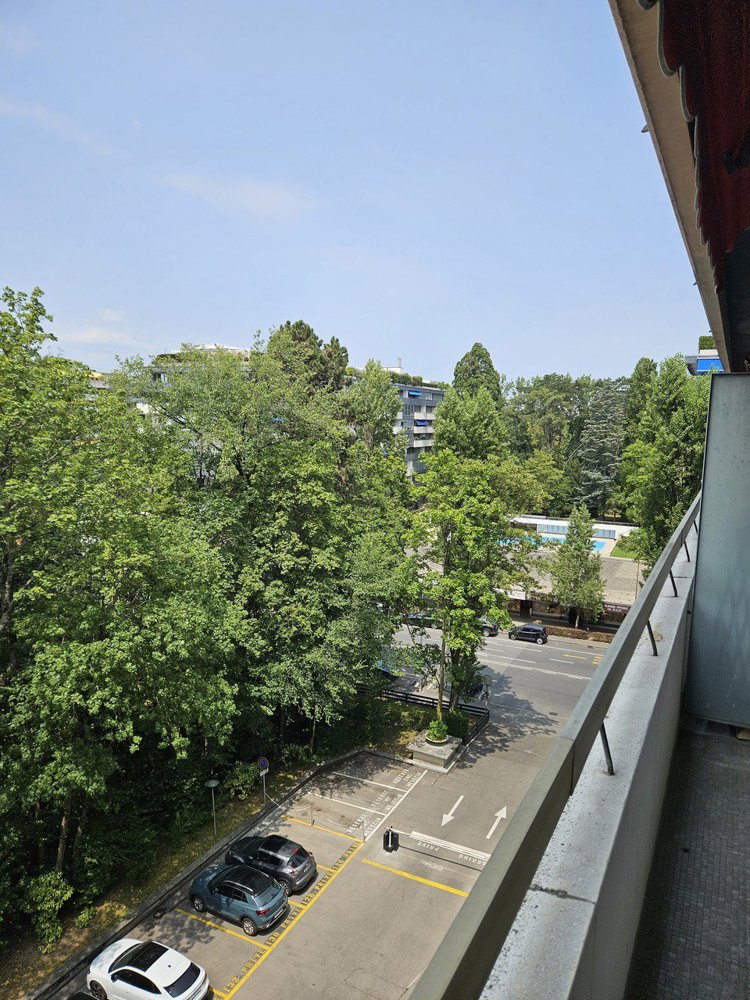 4 Zimmer Wohnung zum verkaufen in Genf - Bild 1/11