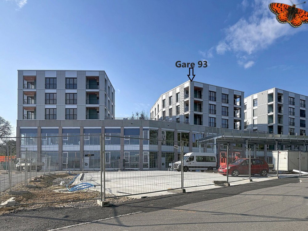 Appartamento di 3 locali in affitto a Estavayer-le-Lac - immagine 1/13