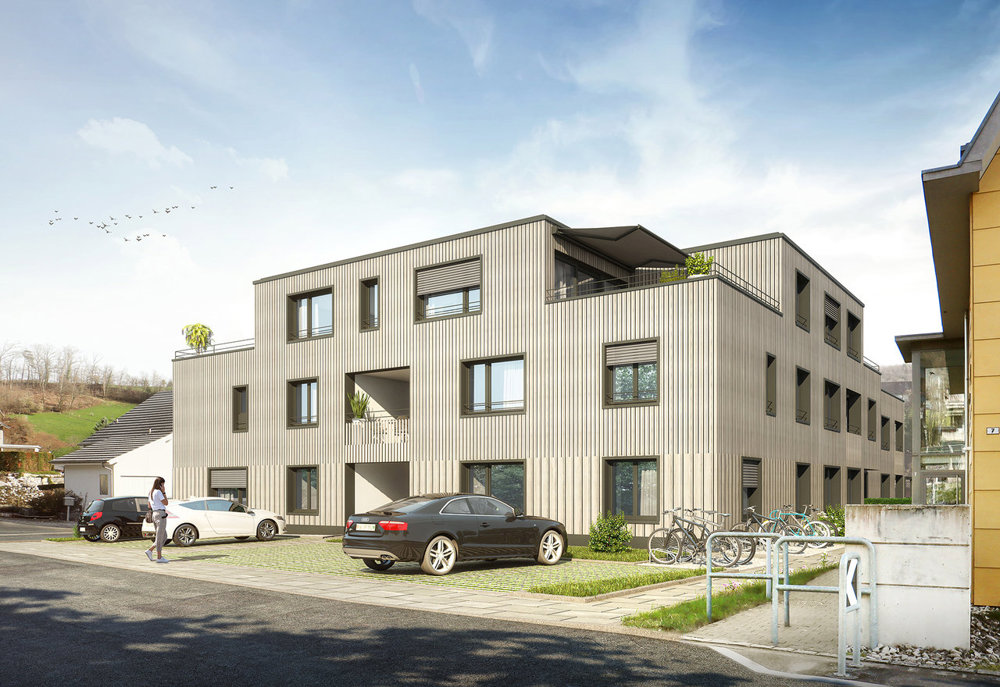 1 rooms Apartment to buy in Ziefen - image 1/6