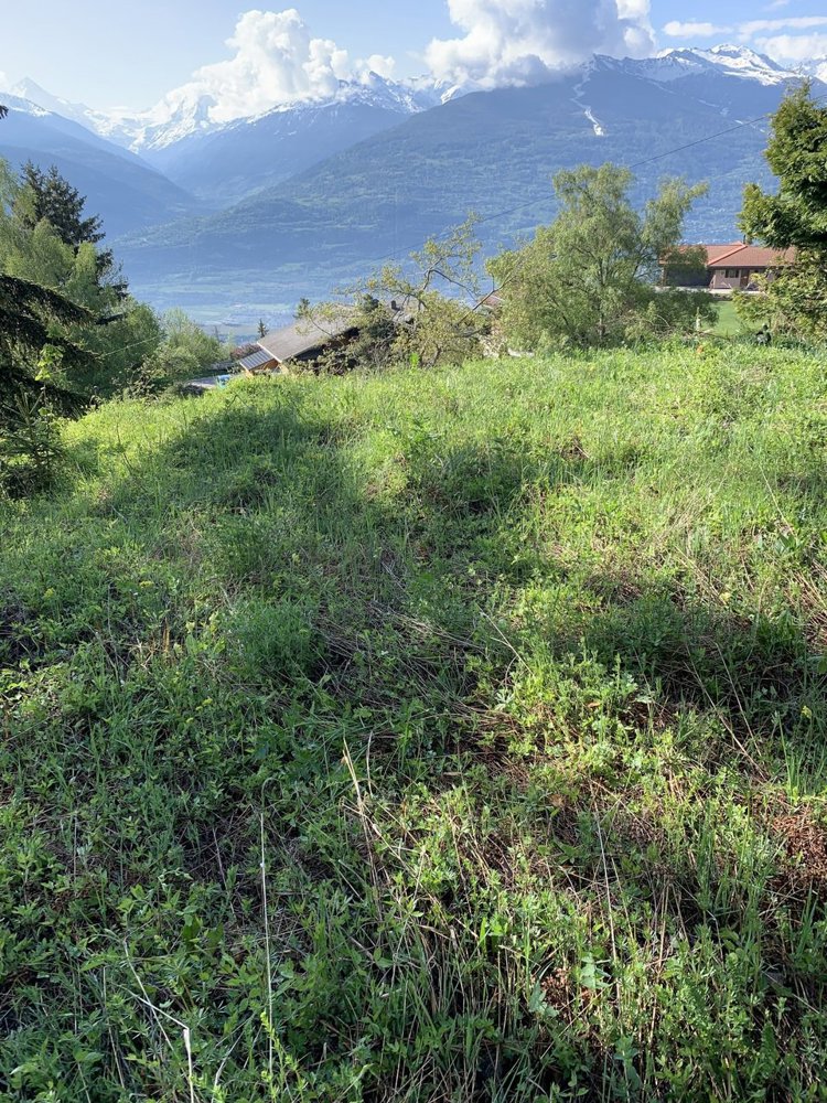 Terreno di null locali in vendita a Savièse - immagine 1/6