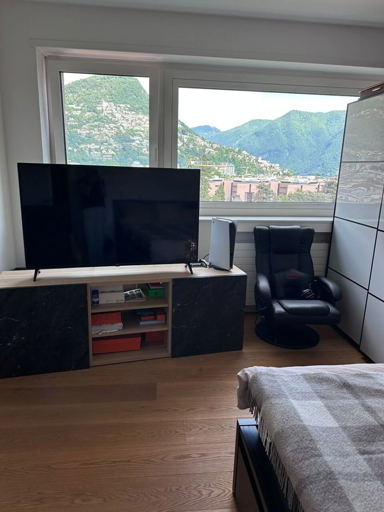 Appartamento di 2 locali in affitto a Lugano - immagine 1/7