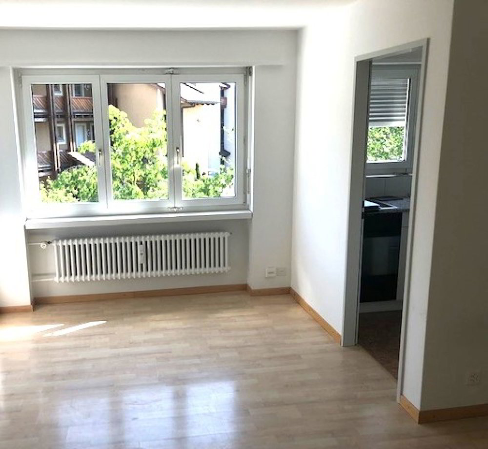 Appartamento di 1 locali in affitto a Schwarzenbach SG - immagine 1/5