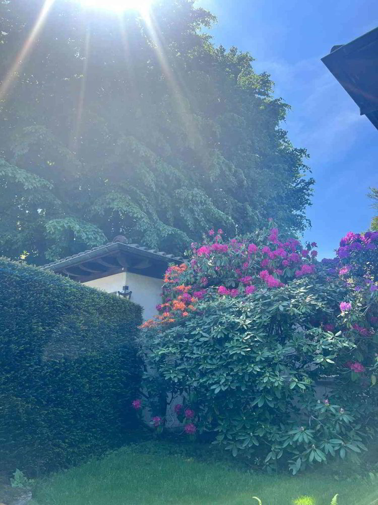 5.5 rooms House for rent in Zollikon - image 1/11