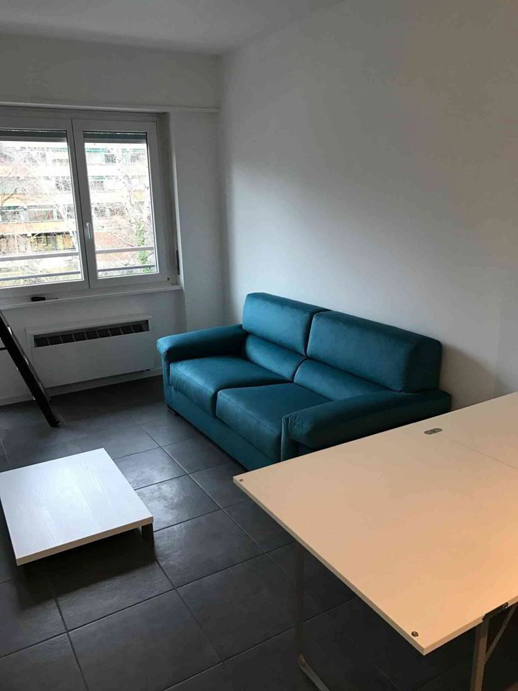 2.5 rooms Apartment to buy in Lugano - image 1/8